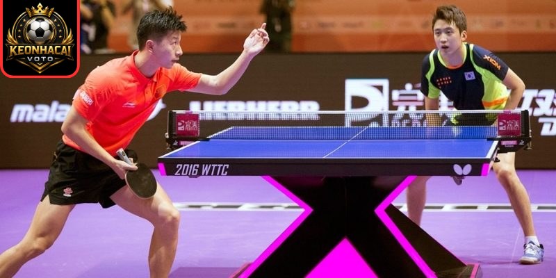 Luật Chơi Bóng Bàn Chuẩn Quốc Tế, Những Điểm Cần Nhớ 3 Hiểu về quy tắc giao đổi bóng
