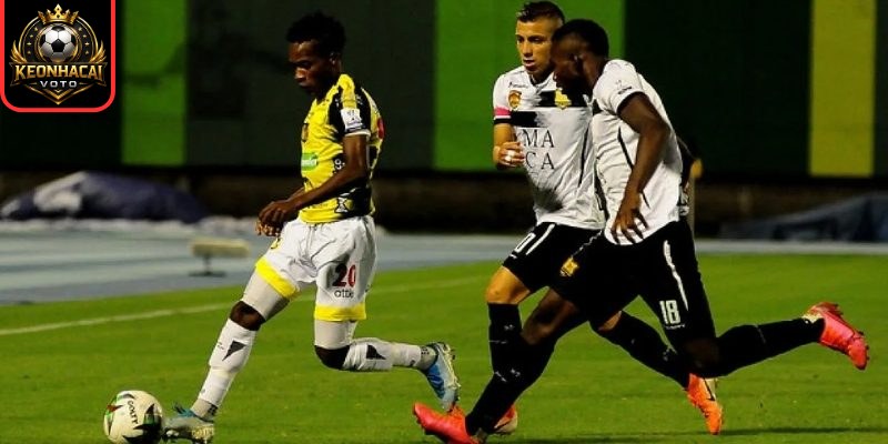 Soi kèo trận Aguilas Doradas vs Alianza Petrolera (04:00 ngày 28/03, VĐQG Colombia) 3 Thông tin lực lượng ra sân Aguilas Doradas vs Alianza Petrolera (04:00 ngày 28/03)