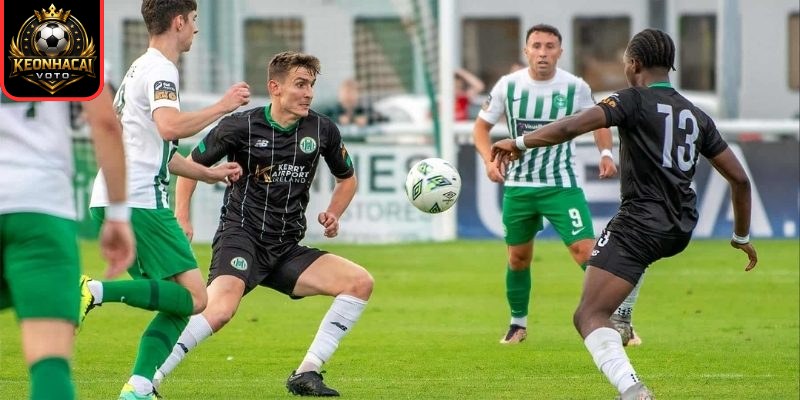Soi kèo trận Bray Wanderers vs Kerry FC (02:45 ngày 28/03, Ireland Division 1) 3 Thông tin lực lượng ra sân Bray Wanderers vs Kerry FC (02:45 ngày 28/03)