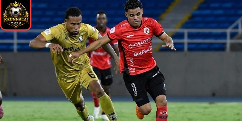 Soi kèo trận Deportivo Pereira vs Cucuta (03:30 ngày 25/03, VĐQG Colombia) 3 Thông tin lực lượng ra sân Deportivo Pereira vs Cucuta (03:30 ngày 25/03)