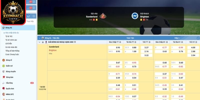 Kèo châu Á trận Sunderland vs Brighton Hove Albion (22:00 ngày 14/03, Ngoại hạng Anh)
