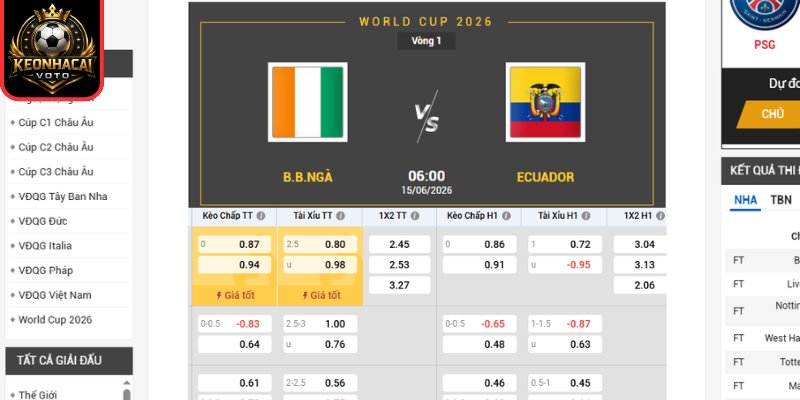 Kèo châu Á trận Bờ Biển Ngà vs Ecuador 06:00 ngày 15/06 (Bảng E - World Cup 2026)